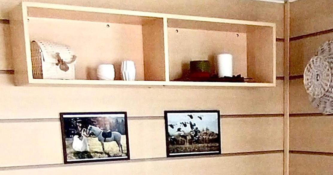 Mobil Home 5Pers Proche Europa Park Dans Camping 3Etoiles Boofzheim Eksteriør bilde